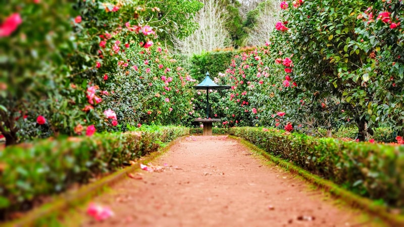 Beautiful landscaped garden pathway
