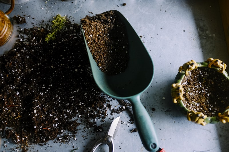 Full landscaping services
