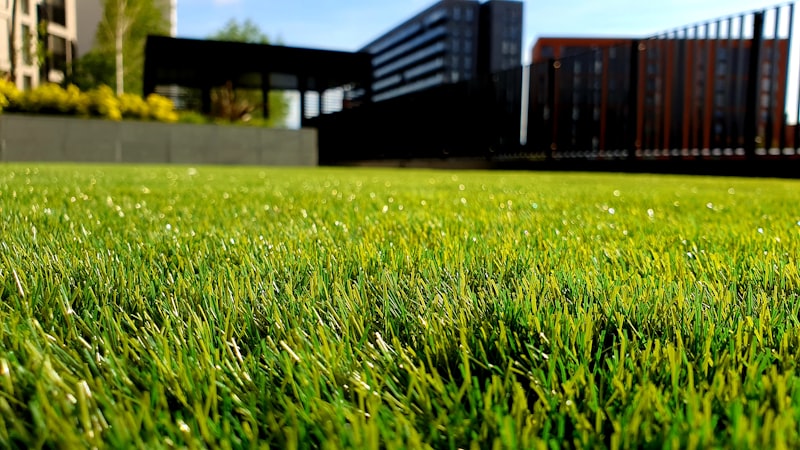 Lush green manicured lawn